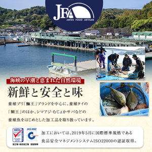 鹿児島県長島町産 シマアジ (約1.0kg・1匹) シマアジ 鹿児島 鮮魚 一匹 柵 刺身 切り身 高級あじ 高級魚【JFA】jfa-7145
