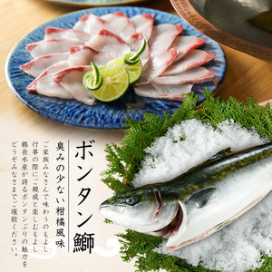 ボンタンぶりまるごと一本(内臓処理済)  ぶり 柵 刺身 ブリ 切り身 鰤 1本 鮮魚 下処理済み 鮮魚 1匹 刺身 ぶりしゃぶ ぶりかま 【鶴長水産】turu-7314R8