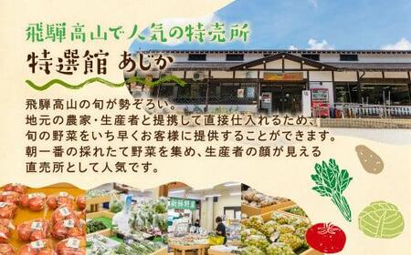 【令和8年産】（2026年6月中旬～10月下旬順次発送予定）飛騨の野菜お任せセット 7～9品目 | セット 野菜 夏野菜 秋野菜 やさい おまかせ お取り寄せ 新鮮 産地直送 飛騨産 夏 秋 サラダ 飛騨高山 あじかファミリー GN001-26