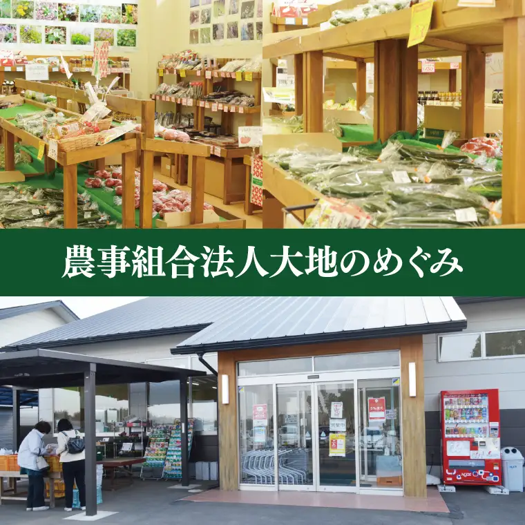 04-05 阿見町産野菜ボックス詰め合わせセット（7～8品）【新鮮 美味しい EM菌 減農薬 有機肥料 阿見町 茨城県】
