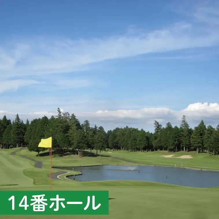 30-02 阿見ゴルフクラブプレーご招待券（平日4名様）【ゴルフ プレー券 ゴルフ場利用券 阿見町 茨城県】