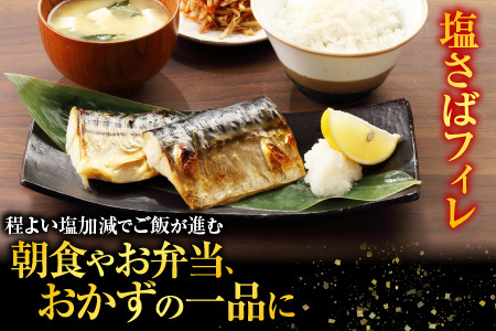 お刺身トラウトサーモン1.5kg、塩さばフィレ1枚×20P C-09021