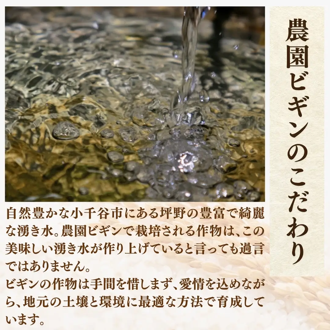 【令和8年産 先行予約】 昔ながらの魚沼産コシヒカリ 従来品種 定期便 30kg（5キロ×毎月全6回）農園ビギン|おこめ 特A評価 小千谷市 コシヒカリ
