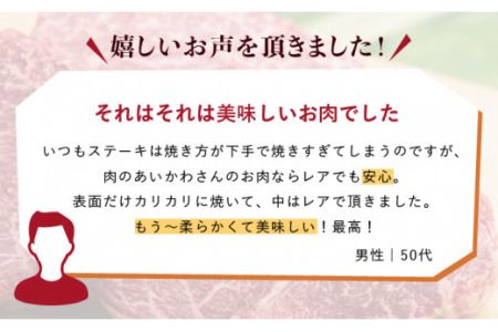 【発送時期が選べる】A5ランク ランプステーキ 390g 130g×3枚 長崎和牛【肉のあいかわ】[NA39]