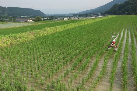 米 令和8年 つぶら野米 コシヒカリ 白米 3kg×2袋 計6kg