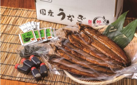 国産うなぎ 蒲焼 備長炭 炭火焼き 紀州職人焼 手焼き 大サイズ５枚(合計約750g)薬味付【太地グルメ市場】【miw105】