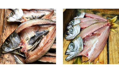  冷蔵 旬のひもの 干物 セット 6～8種  / ひもの 国産 詰め合わせ