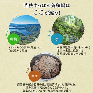すっぽん鍋 鍋セット 2人前 食べ方のしおり付 すっぽん鍋