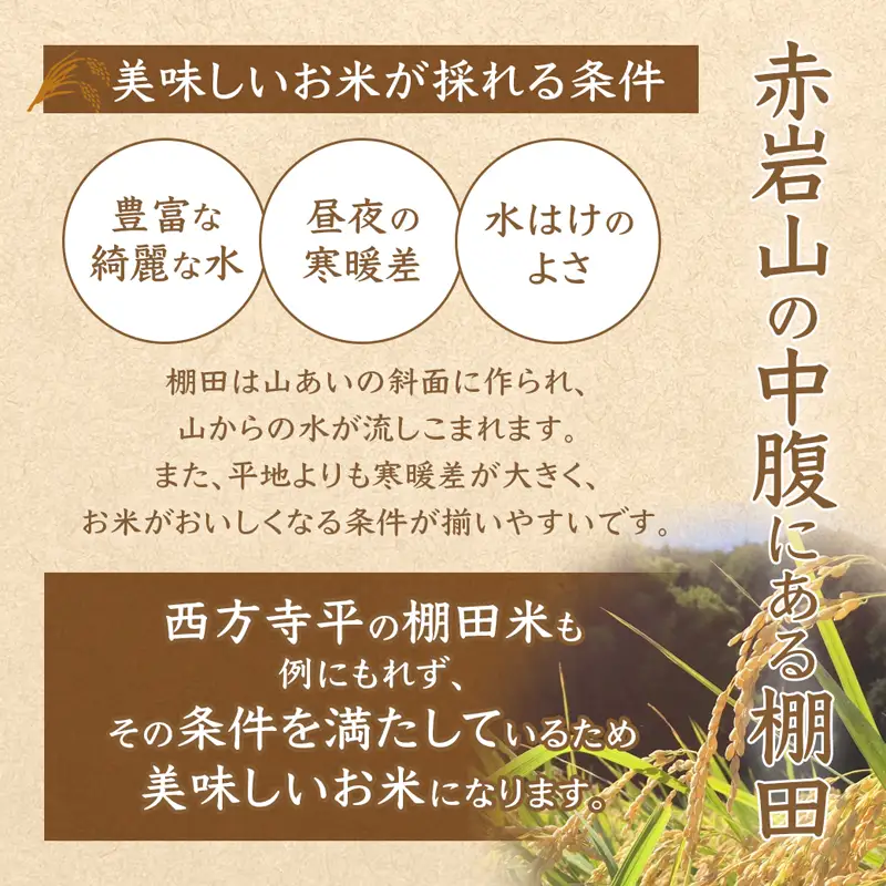 令和8年度産 新米 予約受付 棚田米 5kg 精米 コシヒカリ 特別栽培米 7割削減  白米