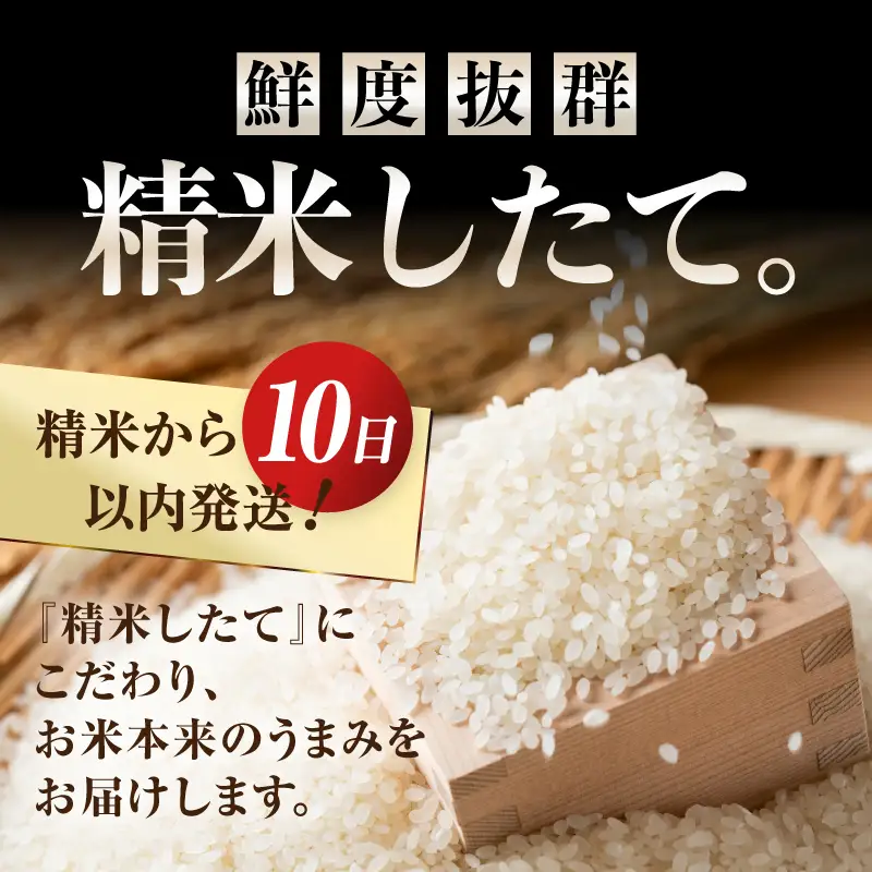 3人に1人がリピーター!☆全12回定期便☆ 岩手ふるさと米 10kg(5㎏×2)×12ヶ月 令和7年産 一等米ひとめぼれ 東北有数のお米の産地 岩手県奥州市産【配送時期に関する変更不可】 [U0171]