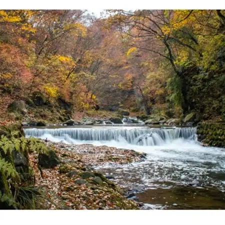 長野県御代田町宿泊等利用助成券(3,000円分)_旅行券・チケット     旅行券・チケット 宿泊商品券 宿泊券 _【1232264】
