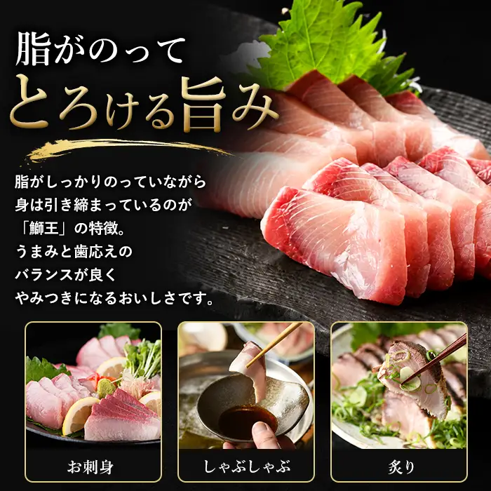 【14日前後で発送中】 『旅サラダ』で紹介ぶりの王様 新物 「 鰤王 」 フィレ 半身 (フィレ1枚) 産地直送 新鮮 旨味が抜群の 長島町 特産品 ブランド ぶり 鰤 ブリ 切り身 真空 冷蔵 刺身 ぶりしゃぶ しゃぶしゃぶ 魚 魚介 人気 ランキング 【JFA】jfa-7126R8