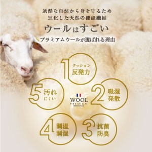 羊毛 掛け布団 シングルロング ウール100% 布団