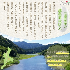 令和８年産 新米 ミルキークイーン 精米 10kg ／ おんじ屋 お米 白米 三重県 度会町 伊勢志摩