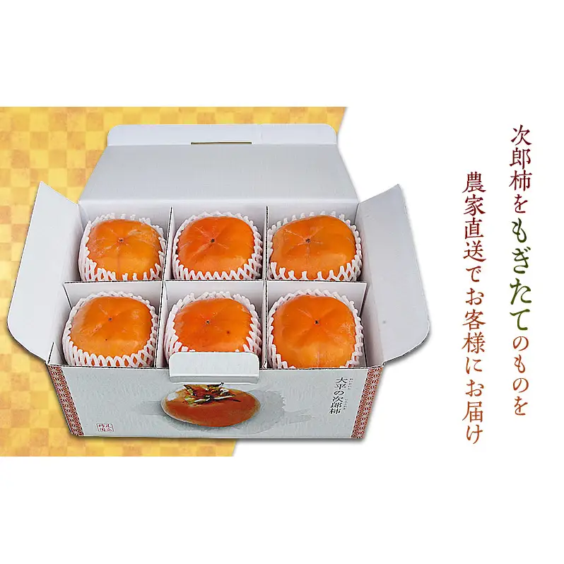 【2026年11月中旬より順次発送】幻の 次郎柿 2L 3kg 12個 贈答用 大玉 11月中旬より順次発送 柿 かき 果物 くだもの フルーツ 旬の果物 旬のフルーツ 秋の味覚 静岡県 浜松市