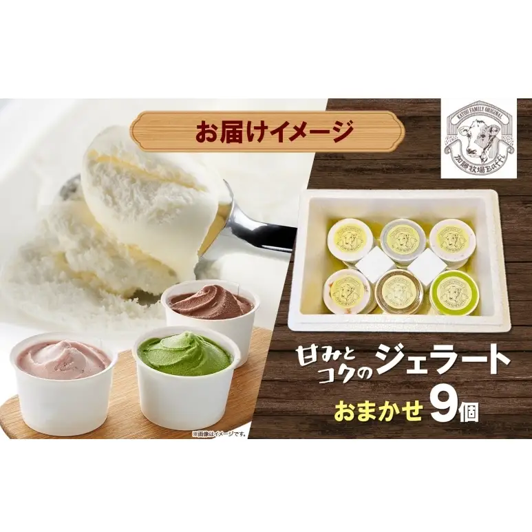 【加藤牧場】ノンホモ低温殺菌牛乳使用 ジェラート 9個入り アイス 氷 夏 暑い 猛暑 フレーバー 濃厚 さっぱり 人気 ご当地 スイーツ お菓子 食後 デザート 氷菓 牛乳 さっぱり コク お取り寄せ 加藤牧場 埼玉県 日高市