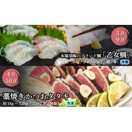 刺身 定期便 6ヶ月 