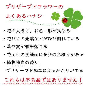 FH015_ ダブルハート 2つのハートが印象的なバラアレンジ【ピンク】誕生日 母の日 父の日 お祝い 花 プレゼント ギフト 愛妻の日 いい夫婦の日 記念日 お中元 お歳暮 長寿祝い 還暦 卒業 入学祝い 就職祝い 退職祝い 引越し祝い バレンタインデー ホワイトデー 演奏会 発表会 敬老の日 成人の日 お年賀 七五三 クリスマス お見舞い 手土産 お供え 孫の日 インテリア