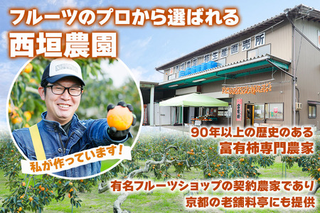 [令和8年産] 柿 富有柿 Lサイズ (14個入)[mt019] 西垣農園 柿