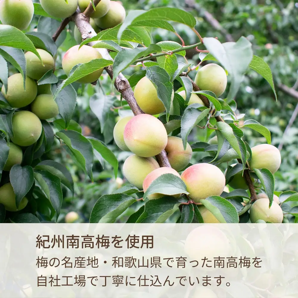 紀州の梅酒 にごり梅酒 熊野かすみと本場紀州 梅酒 ミニボトル300ml