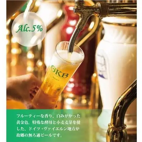 御殿場高原ビール箱入り3缶2箱セット お酒 地ビール 