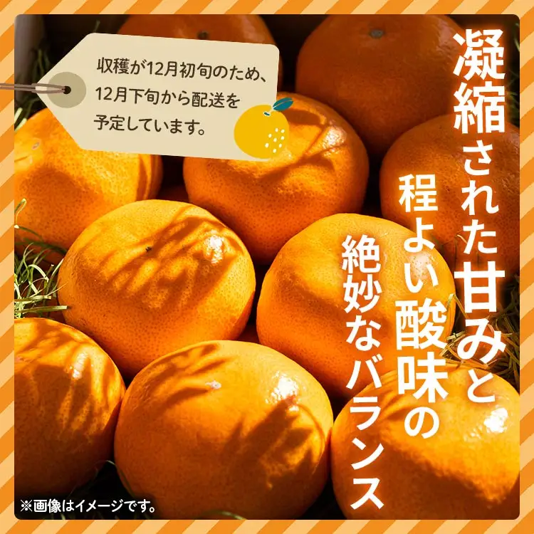 【2026年12月下旬より順次配送】土佐乃かなや みかん 倭香 皇室献上桐箱入り 大玉8玉入 みかん be-0106