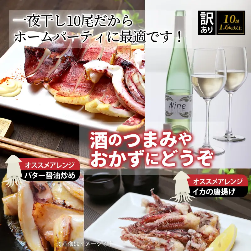 【訳あり】絶品！肉厚するめ烏賊一夜干したっぷり10尾（1.6kg以上） _1836R