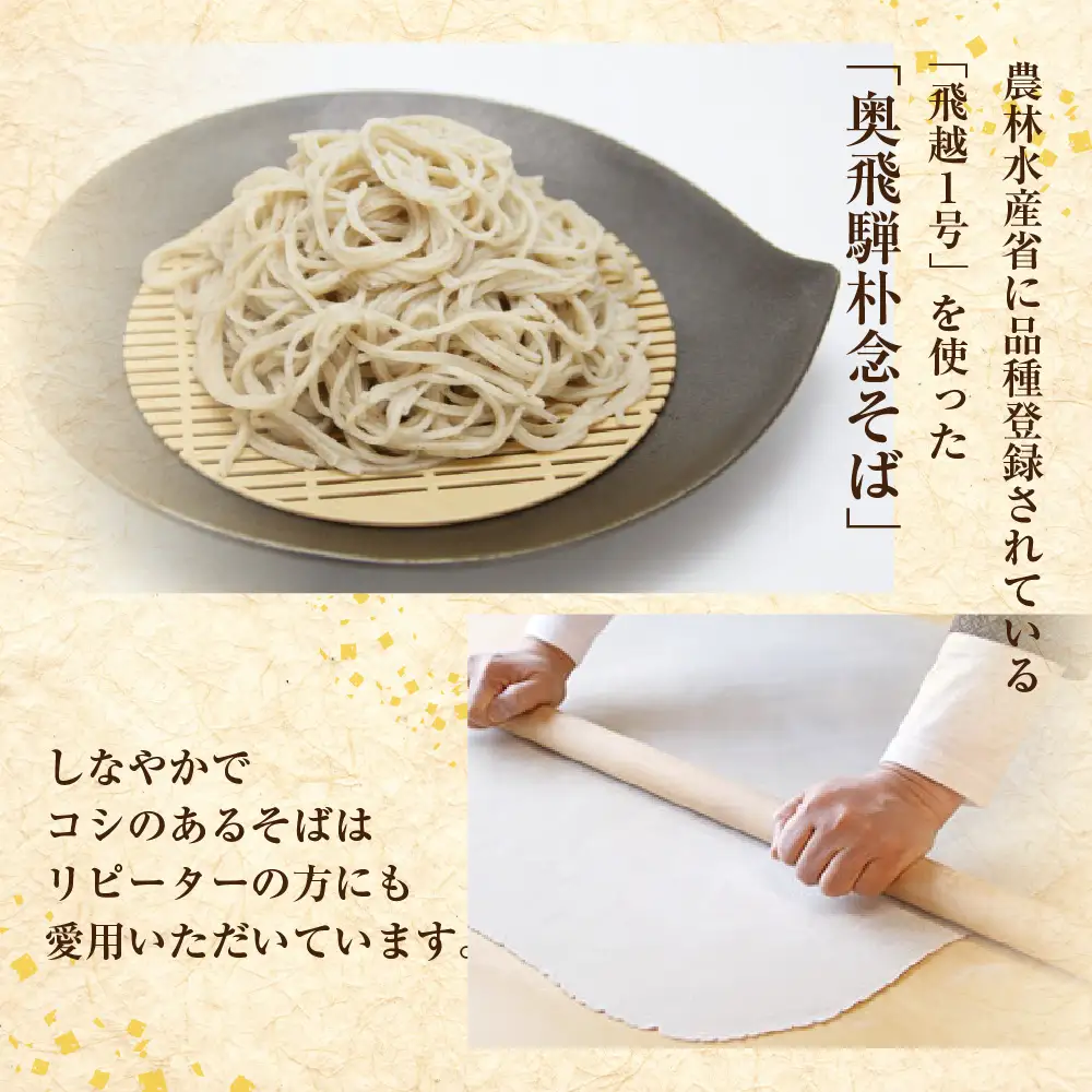 奥飛騨朴念そば 年2回定期便 乾麺200g×8袋 そば