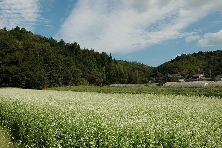 【 年越しそば 予約 】 石臼挽き 自家製粉 瑞穂そば （ せいろそば ） 2人前 つゆ付き ≪ 京丹波町産 蕎麦 100％使用 ≫ ※2026年12月発送 ※北海道・沖縄は配送不可 [010SK002L]