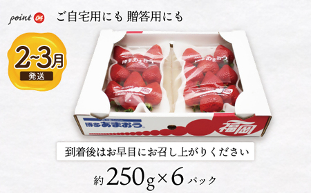 【2027年2月より順次発送】博多あまおう特別6パック 約1.5kg[H2245]