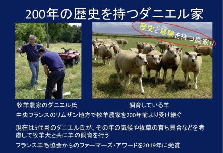 シキボウ 抗ウイルス加工生地を使ったフランス羊毛100%入り 敷パッド シングル アラウール100 [1501]