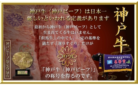 神戸牛セット 神戸ビーフ 焼肉用・焼肉不揃い カルビ 神戸牛セット【900g】【冷凍】