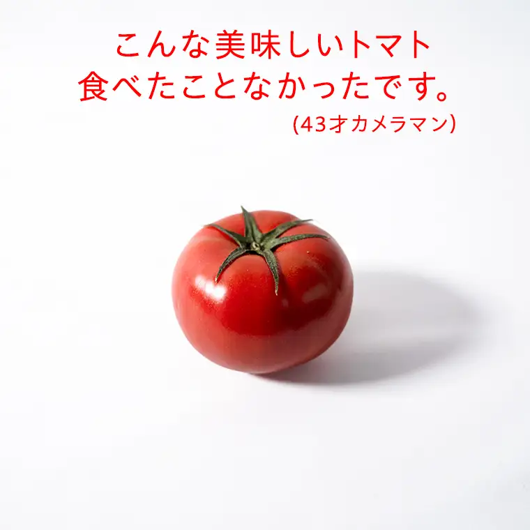 《 2027年 収穫分 》2～6月配送 スーパーフルーツトマト 大箱 約2.6kg × 1箱 (20～35玉/1箱) 糖度9度以上 先行予約 茨城県 桜川市 KEK 国産 トマト フルーツトマト ブランドトマト 野菜 ギフト 贈答 青空レストラン アド街ック天国 グッドモーニング 黄金のワンスプーン 昼めし旅 [BC001sa]