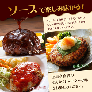 佐賀牛仕込みハンバーグ 4個 ／ 佐賀牛【A163】