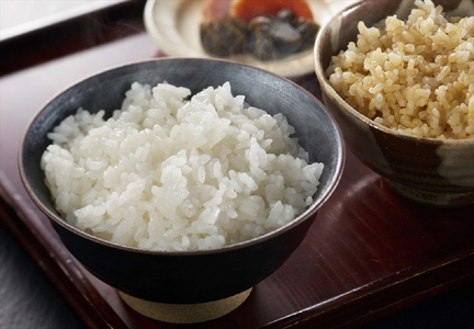 令和7年産米【五ツ星お米マイスター厳選・3ヶ月定期便】コシヒカリ 白米  5kg×3回（計 15kg）[Y0591]