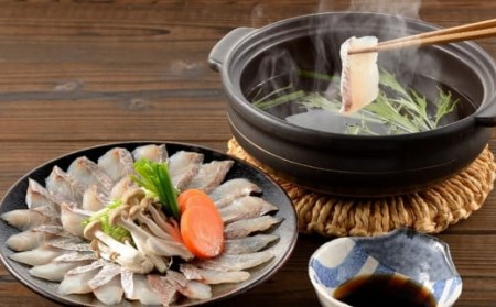 ぷりぷり食感！天然真鯛しゃぶしゃぶセット 3～4人前 カット済 鯛アラ付き[ZB293]