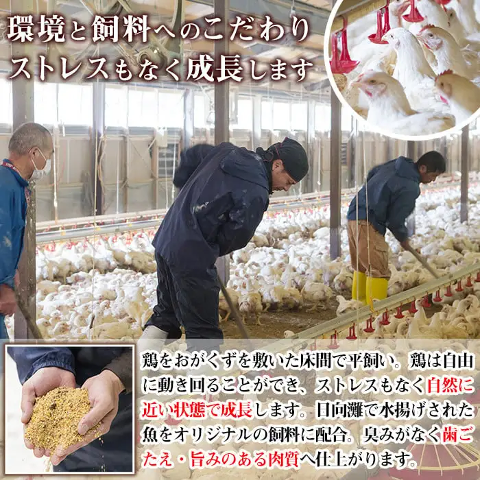 【ふるなびWEEK対象】宮崎県産ブランド鶏「夢創鶏」もも切身(計1.6kg・200g×8P)鶏肉 カット済 小分け  冷凍 【C-4】【株式会社 英楽】