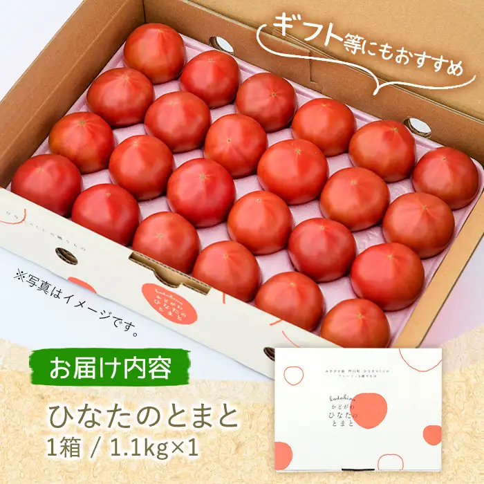 ＜先行予約受付中！2027年1～5月の間に発送予定＞ひなたのとまと(1.1kg)野菜 冷蔵 国産 【A-4】【新門トマト農園】
