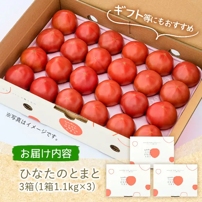 ＜先行予約受付中！2027年1～5月の間に発送予定＞ひなたのとまと(計3.3kg・1.1kg×3箱)トマト フルーツトマト 糖度 9度 以上 野菜 旬野菜 冷蔵 門川町産【A-5】【新門トマト農園】