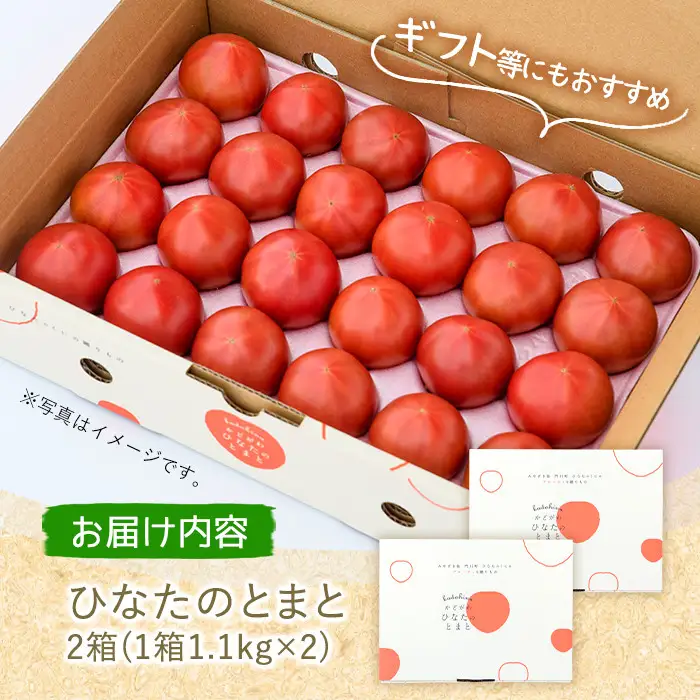 ＜先行予約受付中！2027年1～5月の間に発送予定＞ひなたのとまと(計2.2kg・1.1kg×2箱)フルーツトマト  冷蔵 門川町産 【A-3】【株式会社 新門トマト農園】