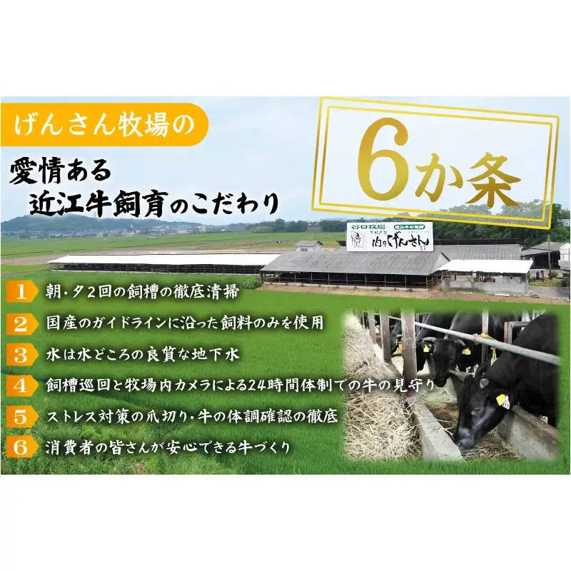 近江牛A5ランクサーロインステーキ 200ｇ×2枚 近江牛