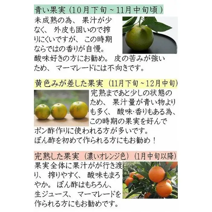 だいだい ポン酢用 だいだい 5kg箱(4.5キロ入り)和歌山県 海南市 鈴木農園直送