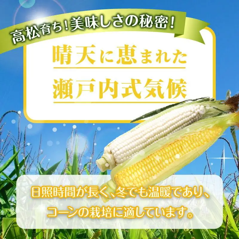 訳あり ご家庭用 瀬戸内ホワイトコーン・イエローコーン食べ比べ 各約4.5kg【2027-6月中旬～2027-7月中旬配送】