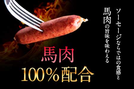 馬肉100%ソーセージ 2kg (500g×4袋) 《30日以内に出荷予定(土日祝除く)》肉 馬肉 ソーセージ 2kg 熊本県氷川町 st-p