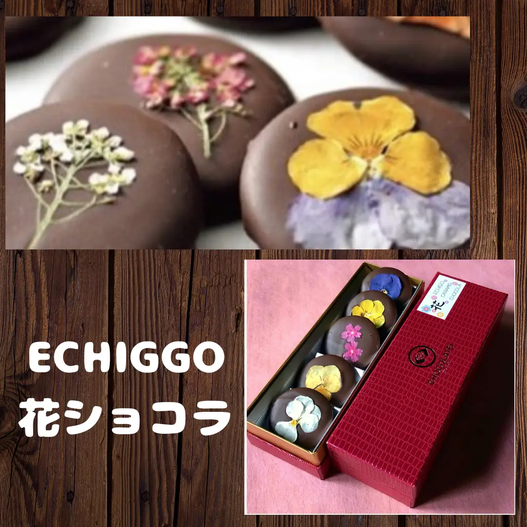 しょこら亭 ECHIGO花ショコラ＆バームクーヘンセット お菓子 菓子 スイーツ 贈答 1Z01013