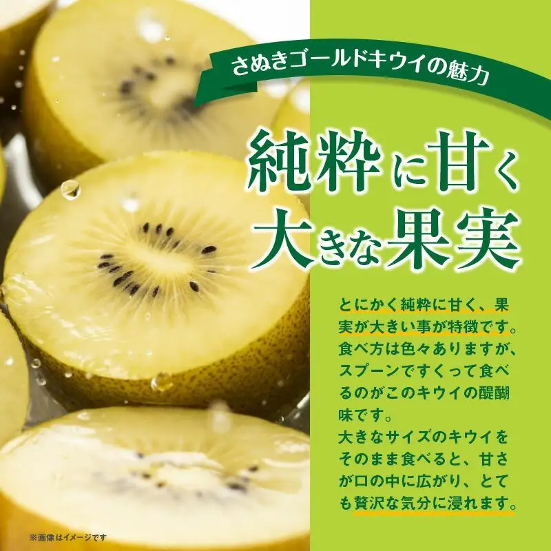 さぬきゴールドキウイ化粧箱(大玉)　約600g【2026年10月中旬～2027年1月下旬配送】