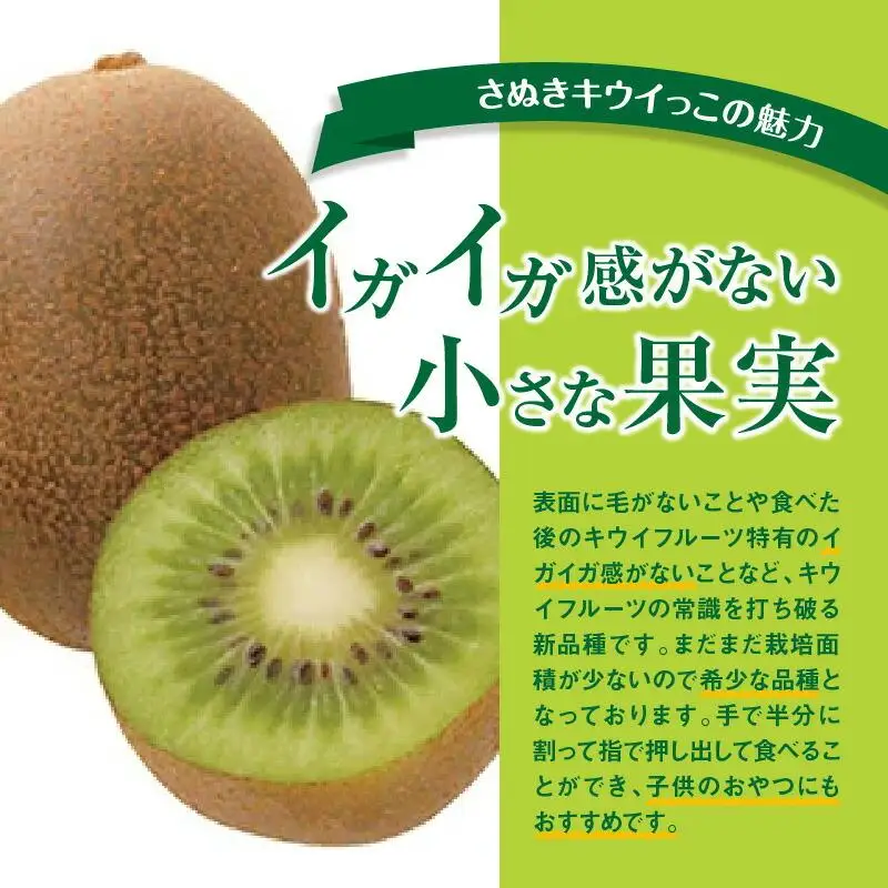 さぬきキウイっこ　約2kg【2026年10月下旬～2026年12月下旬配送】