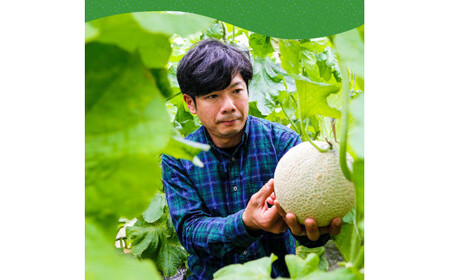 “高知県産”高級マスクメロン（ご家庭用）2玉入【発送期間：4月～12月（9カ月）】【1月～3月は気候温度不安定の為出荷不可となります。】