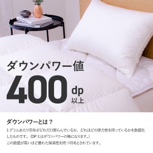 羽毛ふとん 活躍5点セット セミダブル【オールシーズン対応】 羽毛布団 寝具 2枚合わせ セミダブル布団 掛ふとんカバー ピロケース 
