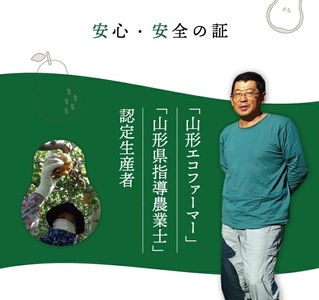 SA3076　六代多右エ門　西洋梨 特選 ラ・フランス《山形セレクション》　約3kg(9～10玉) 